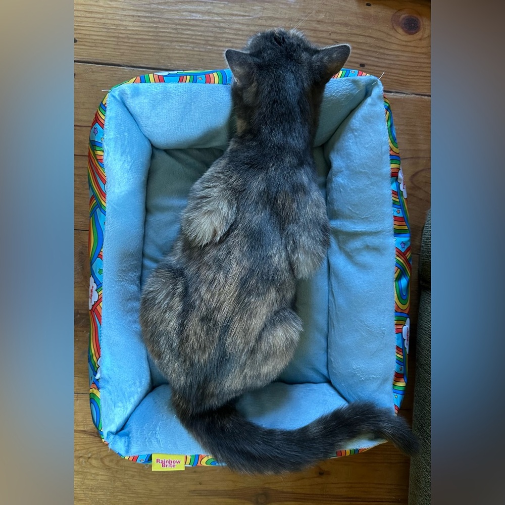 Rainbow Brite Pet Bed NWT - Picture 4 of 14